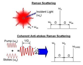 anti phase coherence