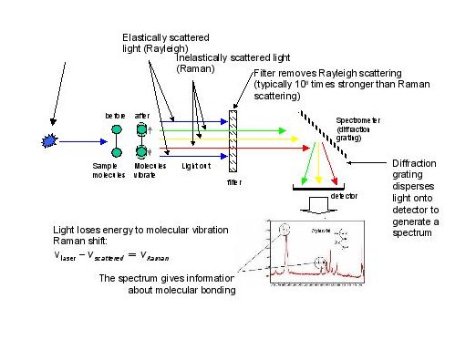 Raman Scattering Spectrum